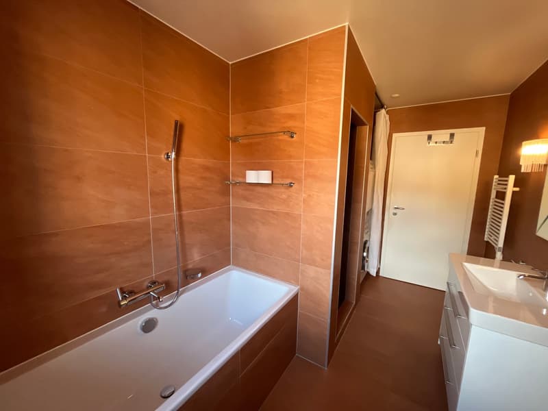 Charming 3-room apartment on Chemin de la Motte (12)