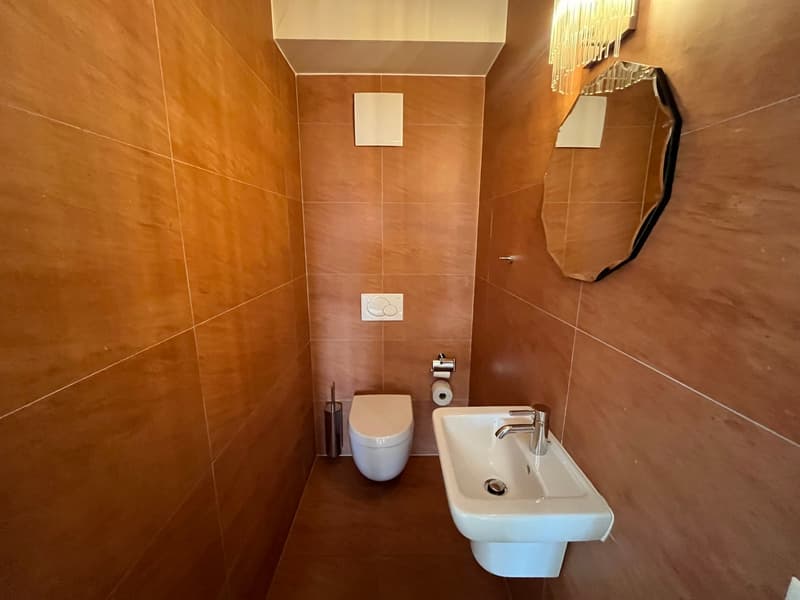 Charming 3-room apartment on Chemin de la Motte (10)
