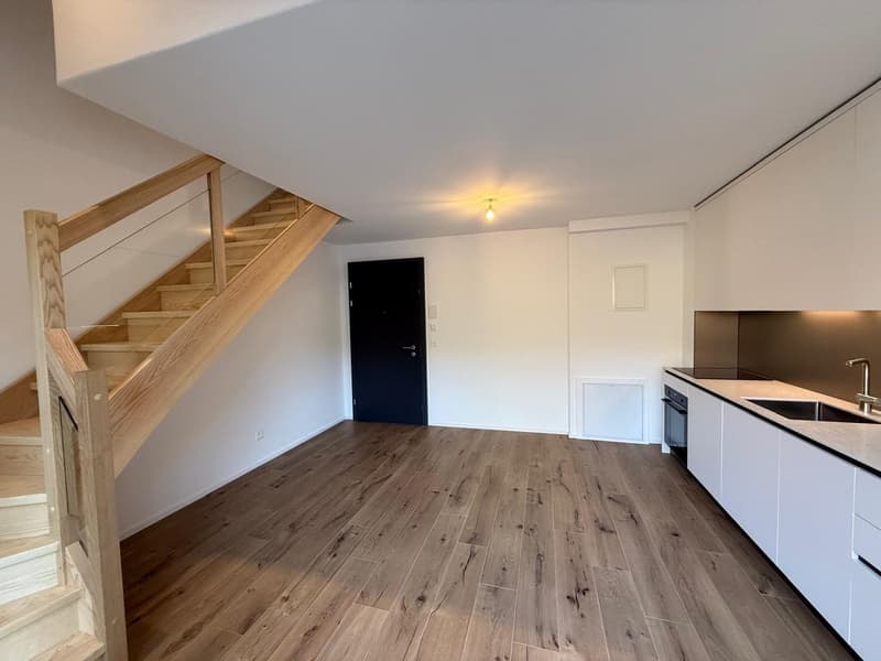 Appartamento moderno con terrazza, a 3 minuti dall'EHL (2)