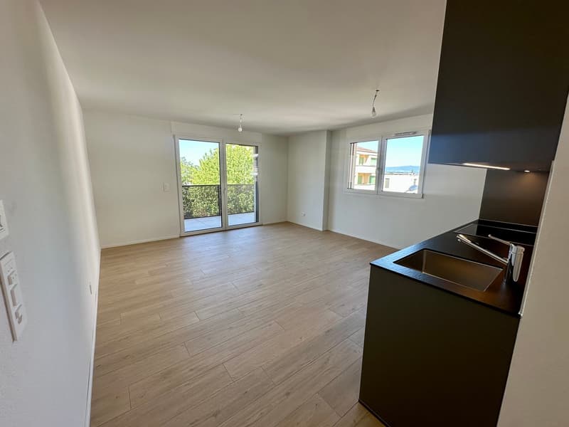 Bel appartement lumineux et moderne avec vue sur le lac (1)