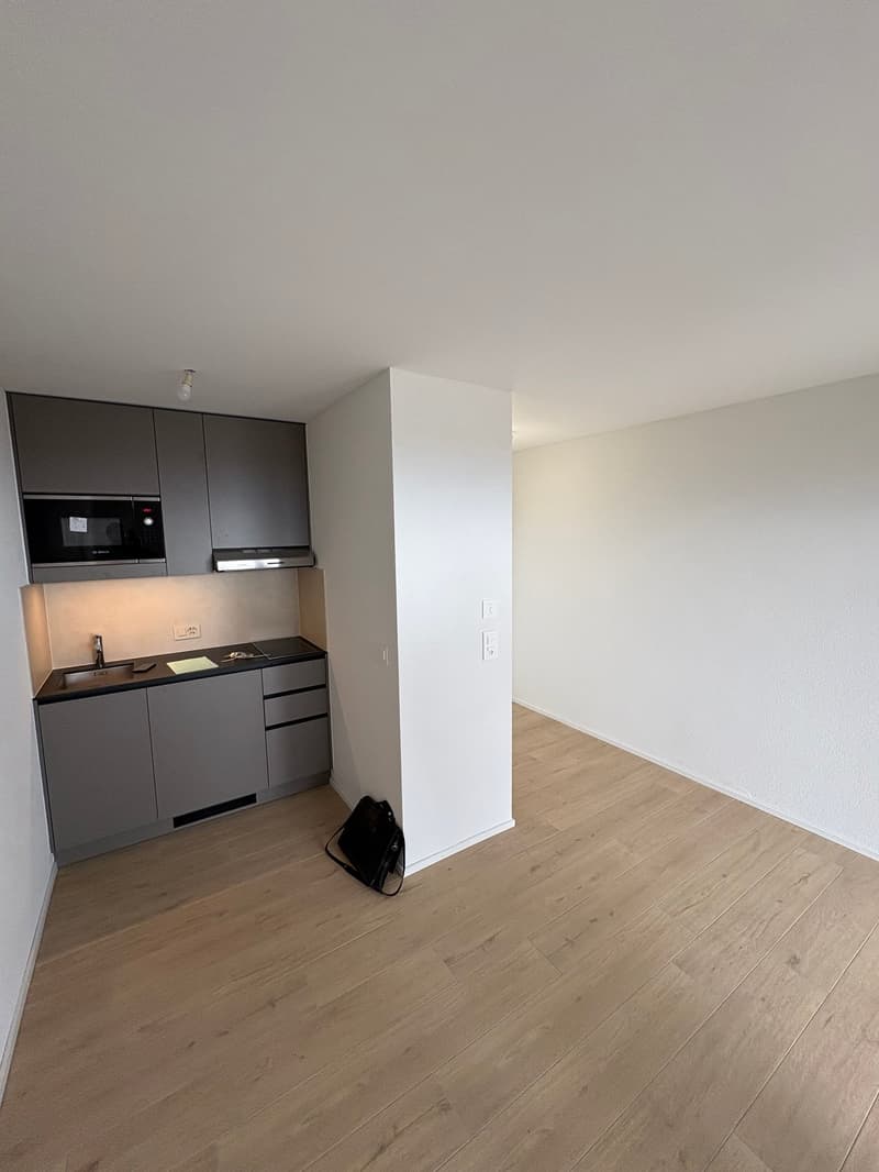 Helles und modernes Studio mit Seeblick (2)