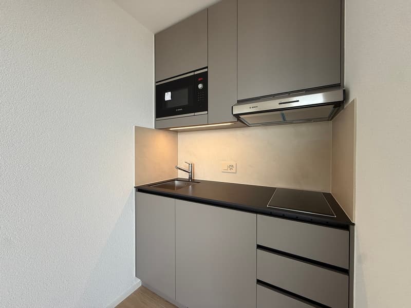Studio lumineux et moderne avec vue sur le lac (3)
