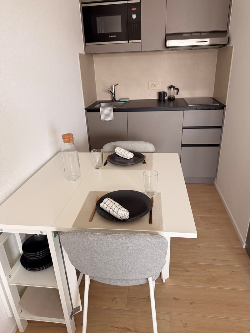 Monolocale arredato, luminoso e moderno (3)