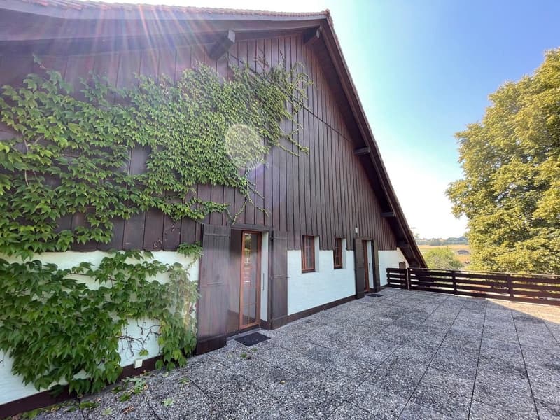 Charmant appartement en duplex de 4.5 pièces à Forel (Lavaux) – Calme et lumineux (3)