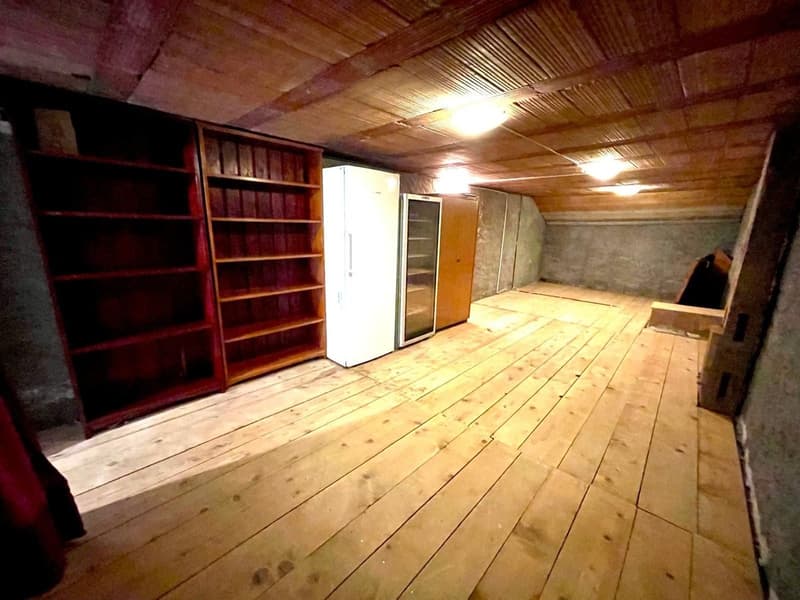 Charmant appartement en duplex de 4.5 pièces à Forel (Lavaux) – Calme et lumineux (11)
