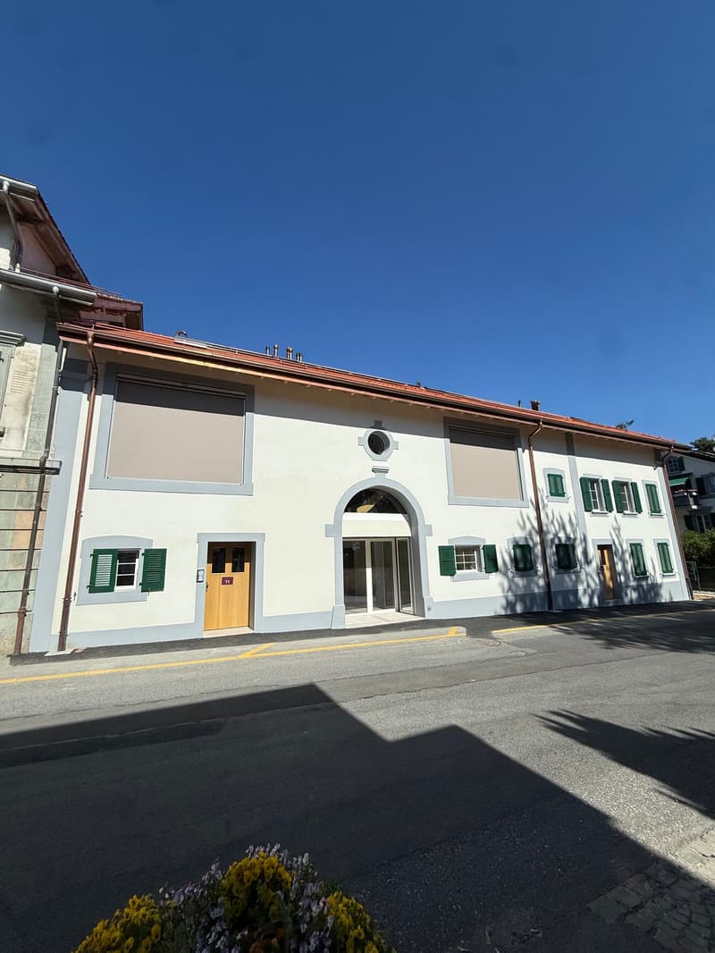 Delizioso studio arredato con terrazza (5)