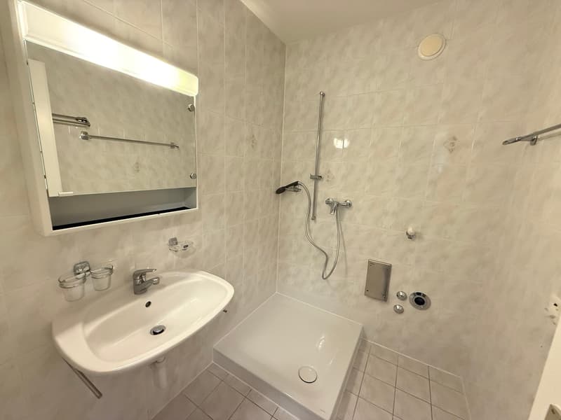 Très grand duplex de 6 pièces avec vue lac (10)