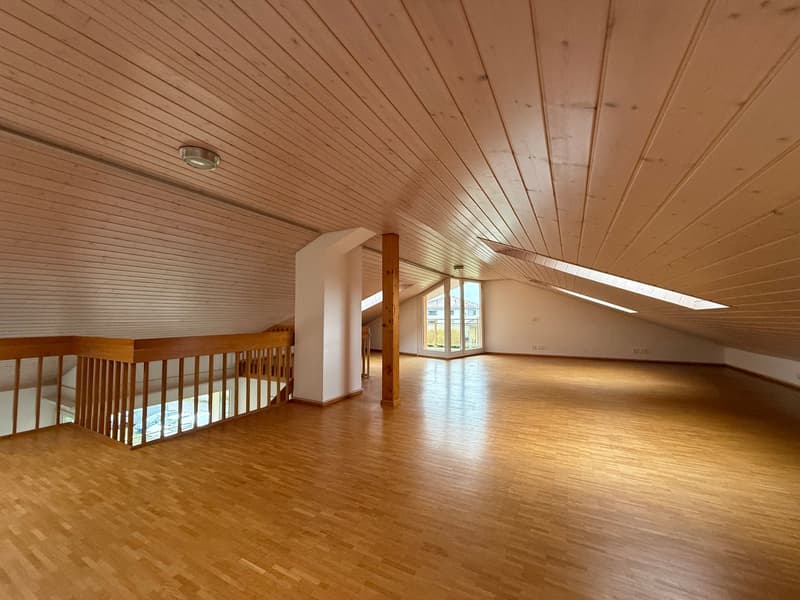 Très grand duplex de 6 pièces avec vue lac (12)