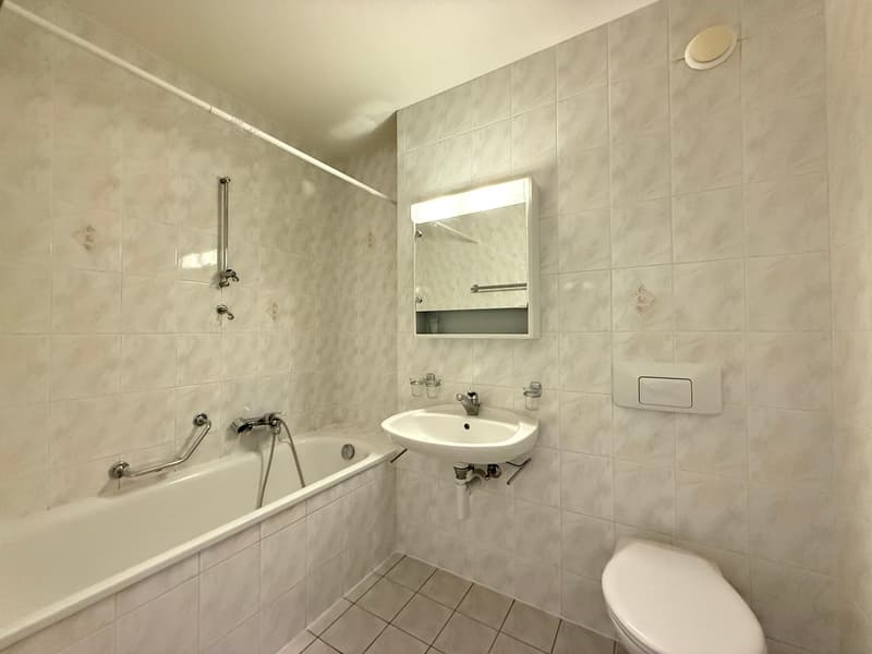 Très grand duplex de 6 pièces avec vue lac (9)