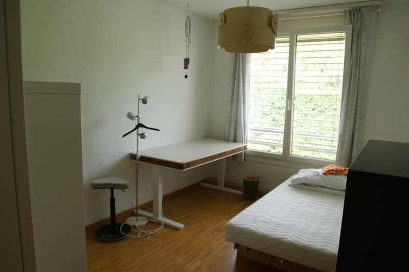 Ampio duplex di 6 locali a Saint-Sulpice (a 500m dall'EPFL) (6)