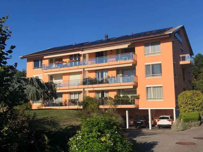 Ampio duplex di 6 locali a Saint-Sulpice (a 500m dall'EPFL) (1)