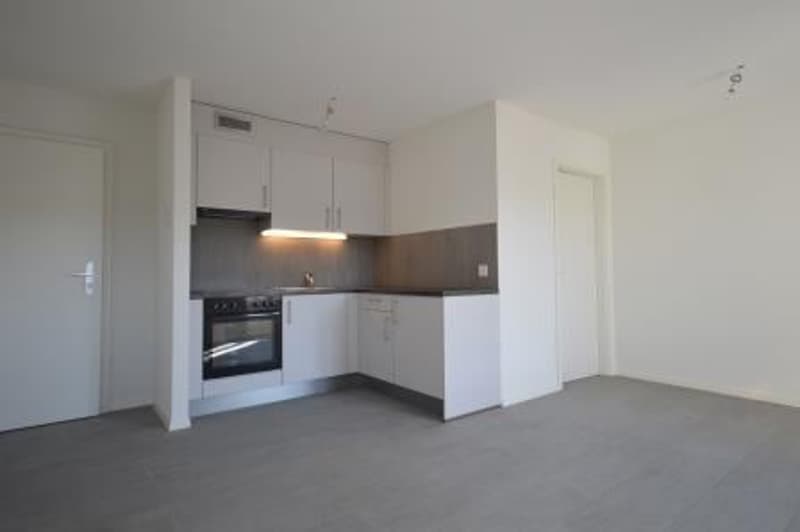 Charming 2-room apartment with balcony in Payerne (1)