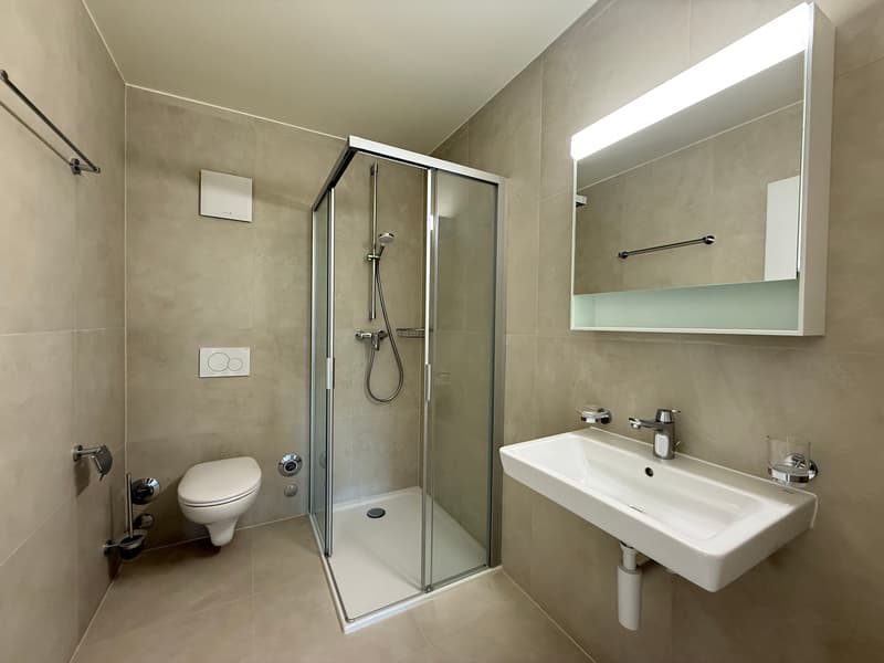 Schönes 2.5-Zimmer-Wohnung ideal gelegen (5)