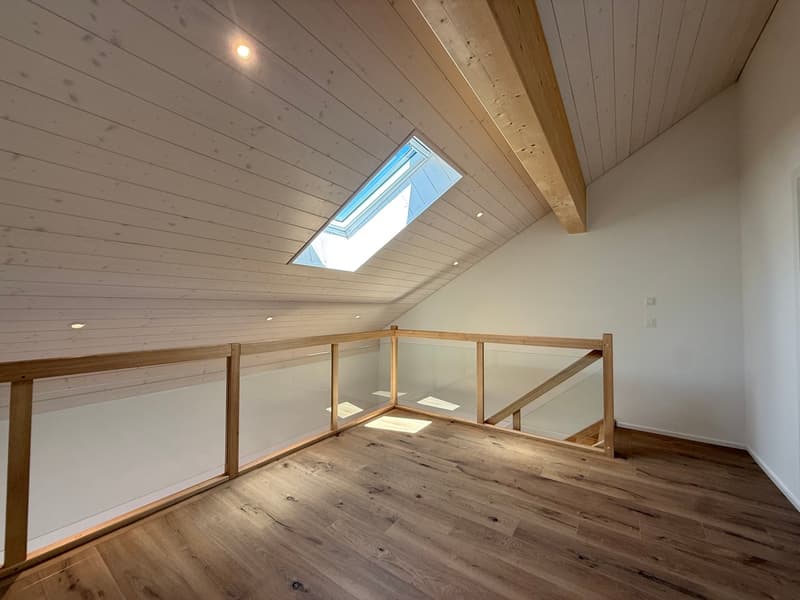 Charmant duplex de 2 pièces avec grande terrasse (4)