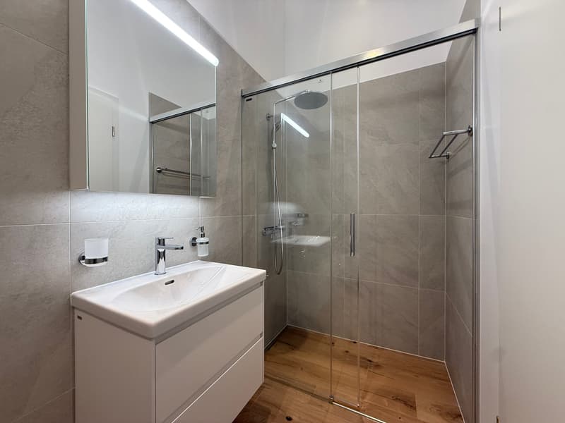 Charmant duplex de 2 pièces avec grande terrasse (5)