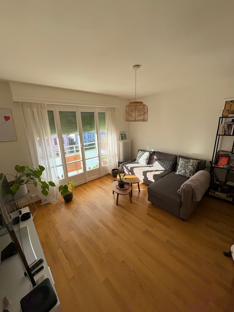 Appartement de 2.5 pièces à louer à durée déterminée (1)