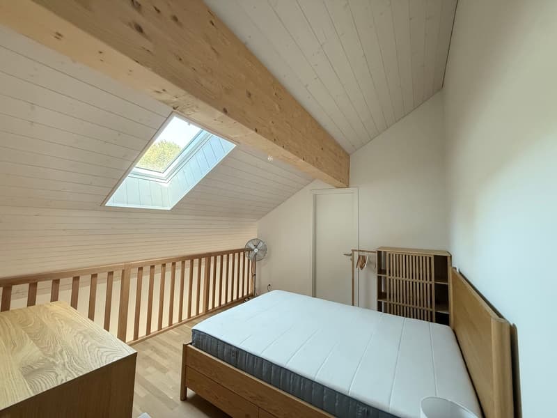 Charmant duplex de 2 pièces meublé (8)