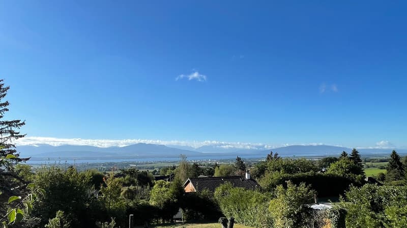VENTE - Terrain avec vue sur le Lac et les Alpes (3)