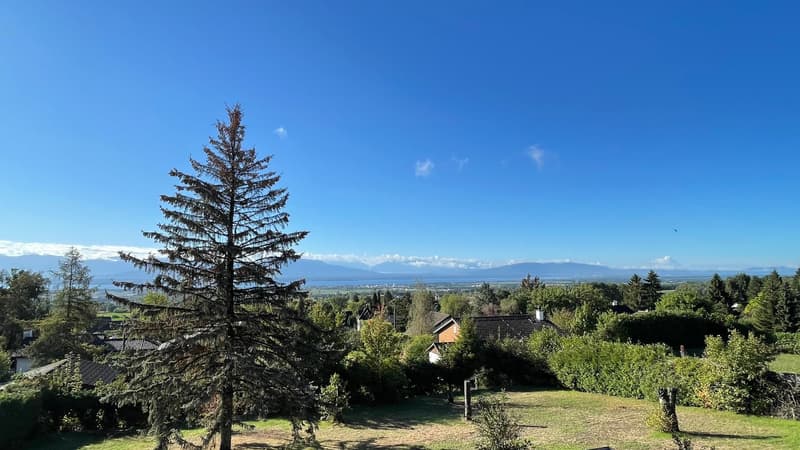 VENTE - Terrain avec vue sur le Lac et les Alpes (4)