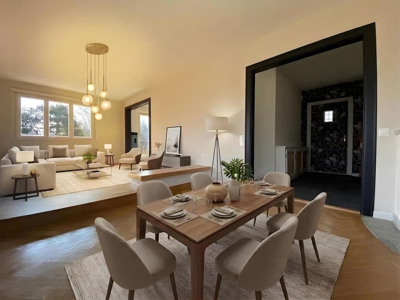 Charmante Villa 7 pièces au cœur de Nyon (2)