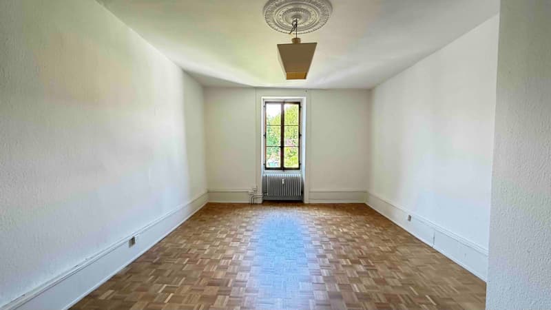 Historic Duplex in the Heart of Rolle — Château and Lake Views, Private Garden (5)