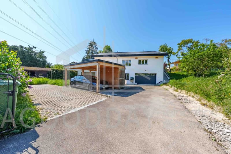 Charming 7-room house with garden in Founex (9)