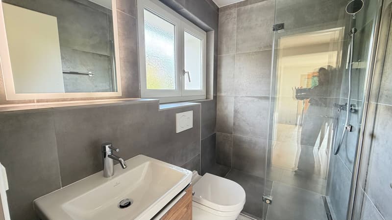 Charming 7-room house with garden in Founex (7)
