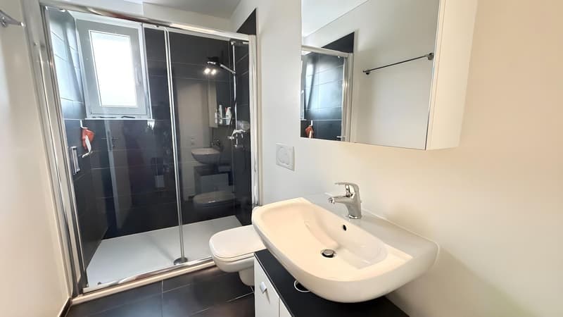 Moderno appartamento di 3,5 camere (6)