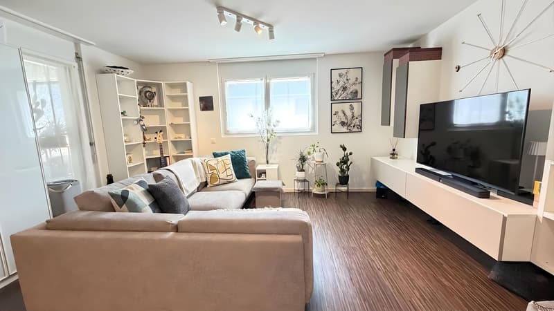 Moderno appartamento di 3,5 camere (1)