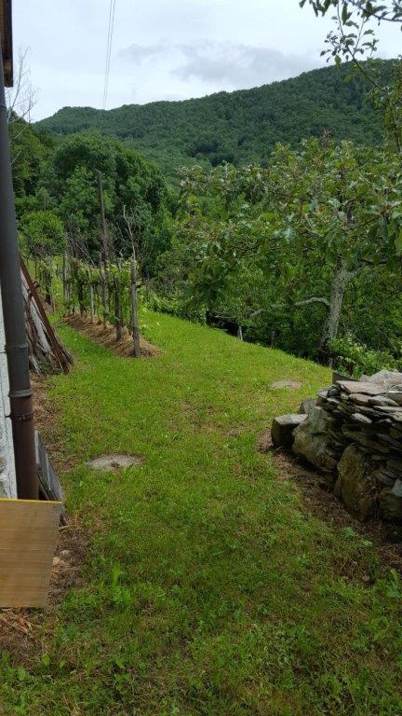 A vendre de particuliers Rustico à Boscaccio Hameau de Medeglia (4)