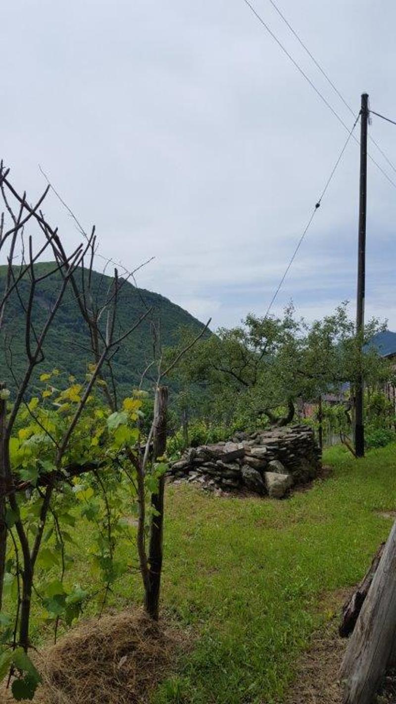 A vendre de particuliers Rustico à Boscaccio Hameau de Medeglia (5)