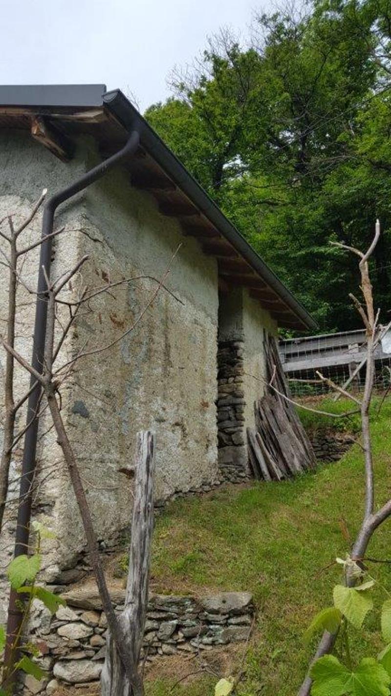 A vendre de particuliers Rustico à Boscaccio Hameau de Medeglia (7)