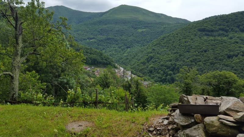 A vendre de particuliers Rustico à Boscaccio Hameau de Medeglia (1)