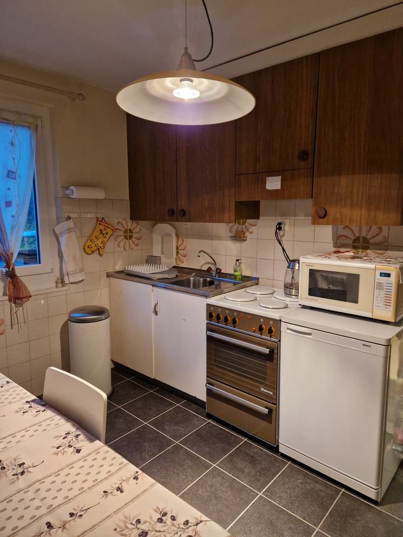 Objet Unique -  maison individuelle de 5 pièces à Monteceneri (10)