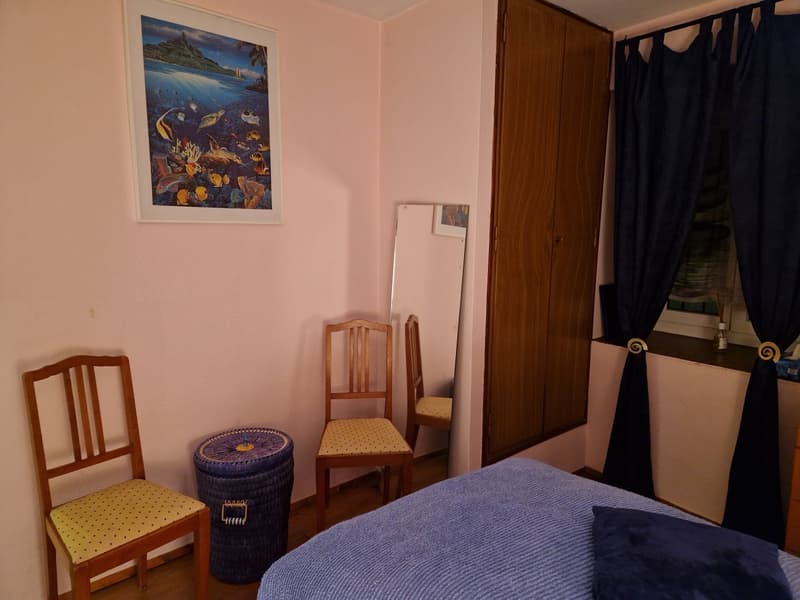 Objet Unique -  maison individuelle de 5 pièces à Monteceneri (17)