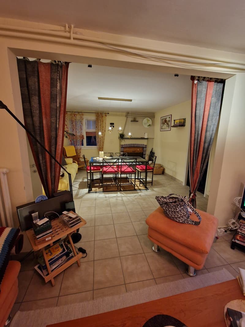 Objet Unique -  maison individuelle de 5 pièces à Monteceneri (13)