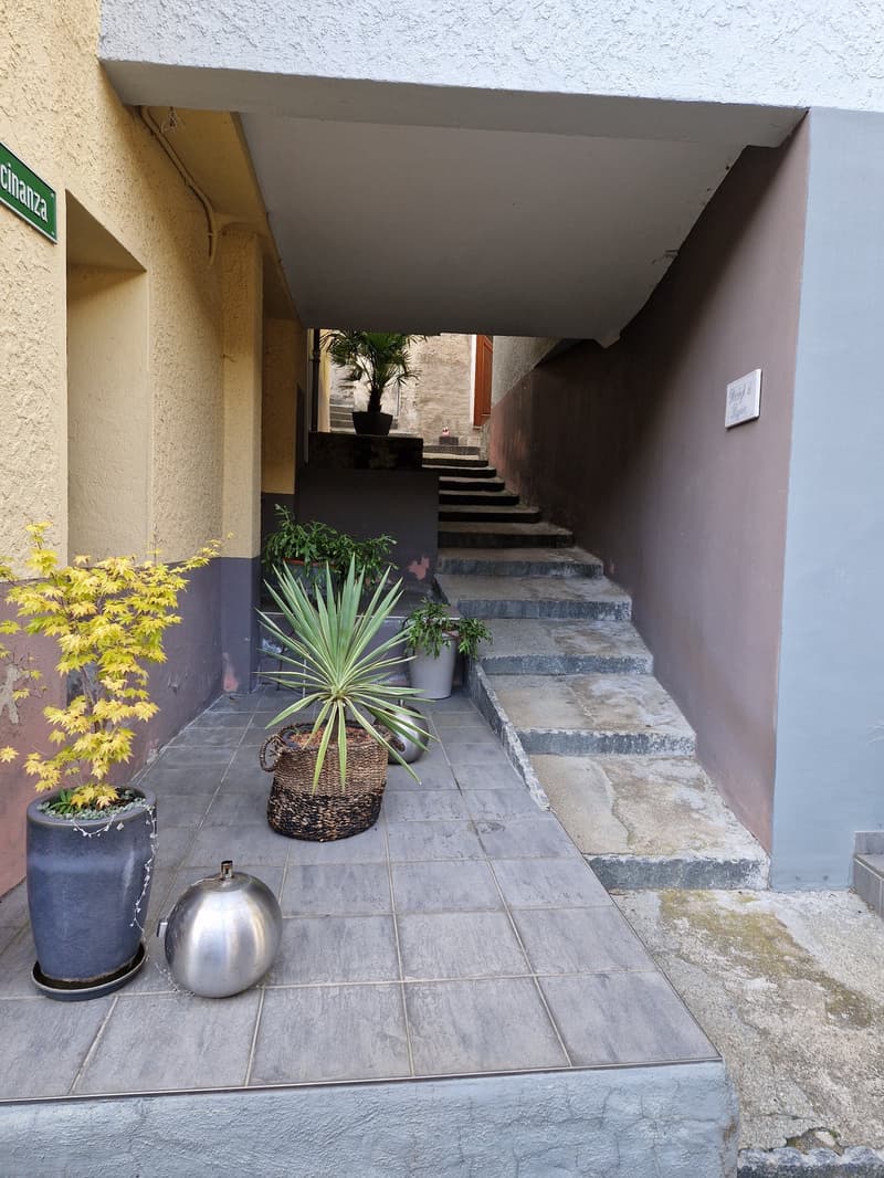 Objet Unique -  maison individuelle de 5 pièces à Monteceneri (3)