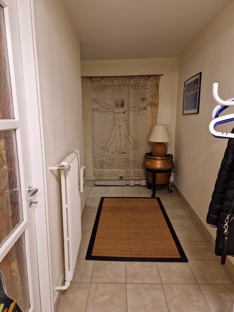 Objet Unique -  maison individuelle de 5 pièces à Monteceneri (9)