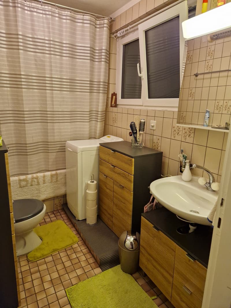 Objet Unique -  maison individuelle de 5 pièces à Monteceneri (21)