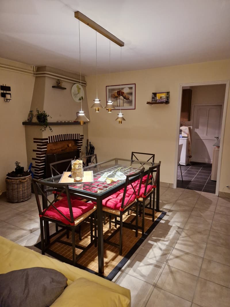 Objet Unique -  maison individuelle de 5 pièces à Monteceneri (12)