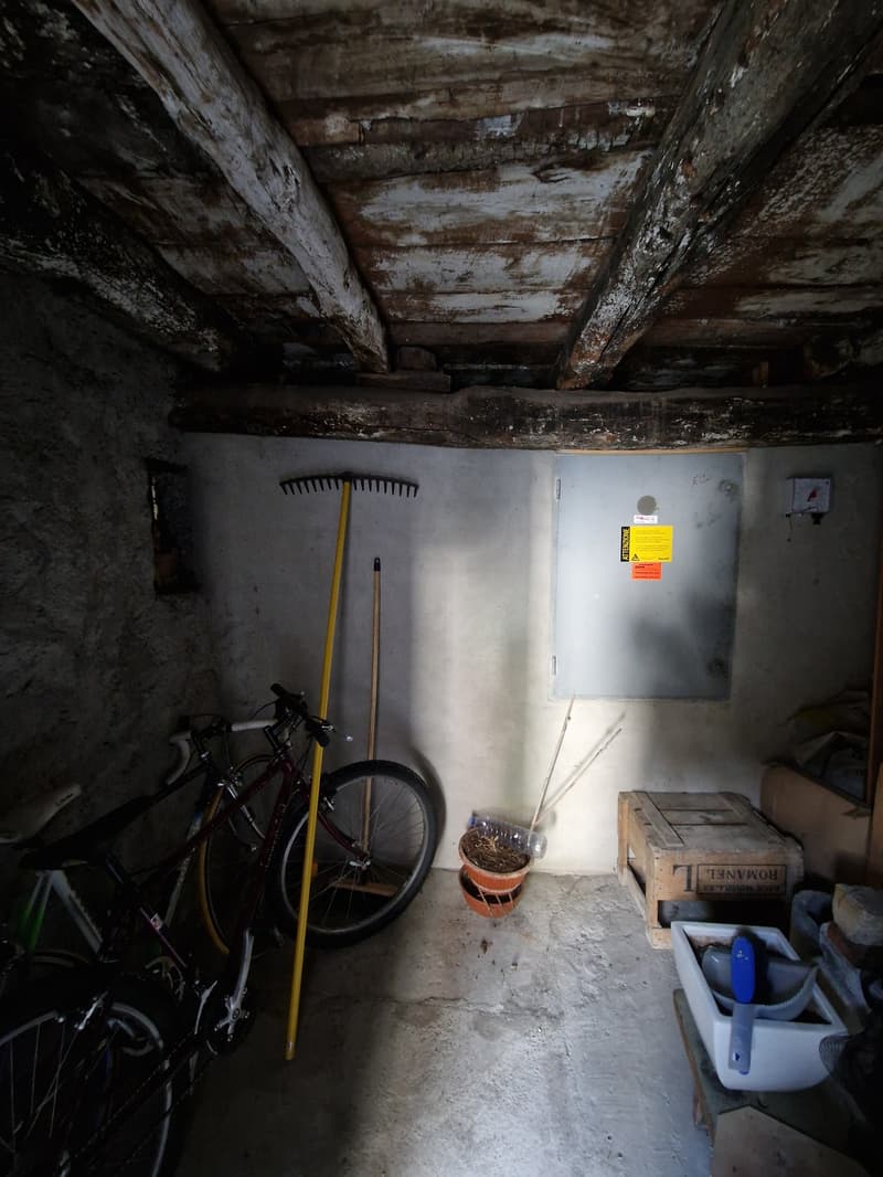 Objet Unique -  maison individuelle de 5 pièces à Monteceneri (5)