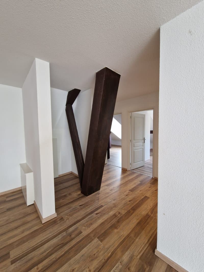 Sublimes 4.5-Zimmer-Wohnung zur Miete (13)