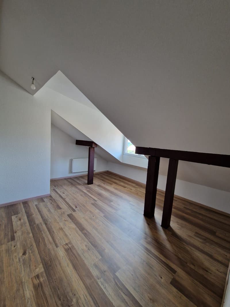 Sublimes 4.5-Zimmer-Wohnung zur Miete (2)