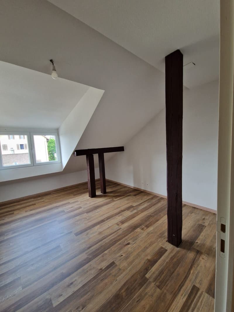 Sublimes 4.5-Zimmer-Wohnung zur Miete (3)