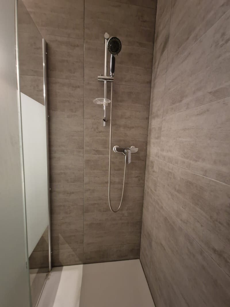 Sublimes 4.5-Zimmer-Wohnung zur Miete (6)