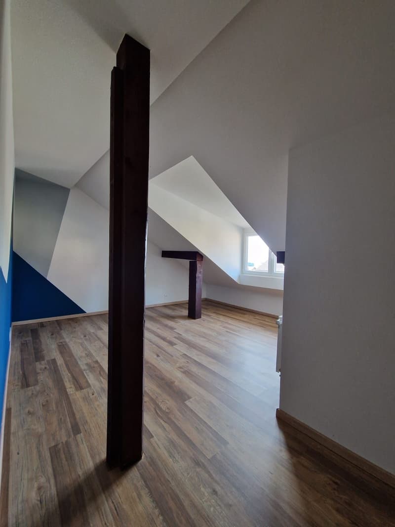 Sublimes 4.5-Zimmer-Wohnung zur Miete (4)