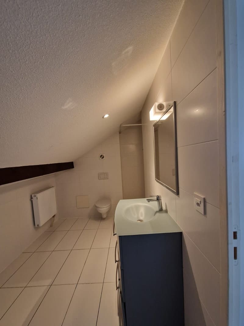 Sublimes 4.5-Zimmer-Wohnung zur Miete (10)