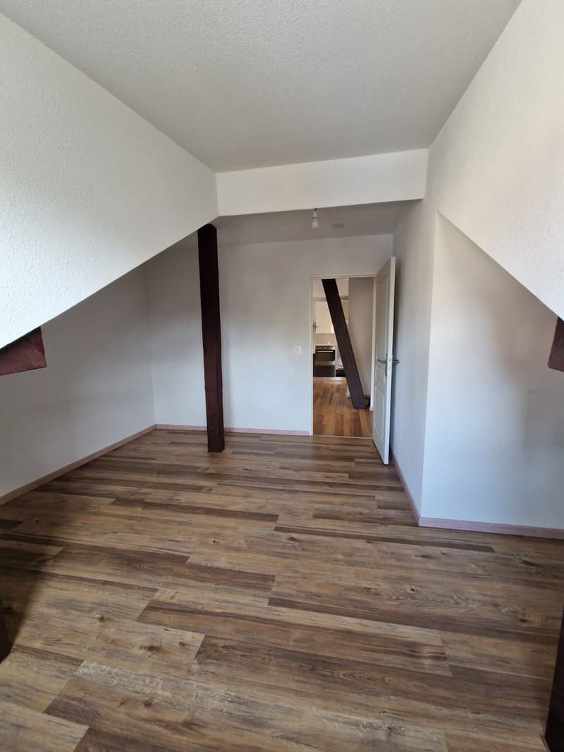 Sublime Appartement de 4.5 pièces à louer (1)