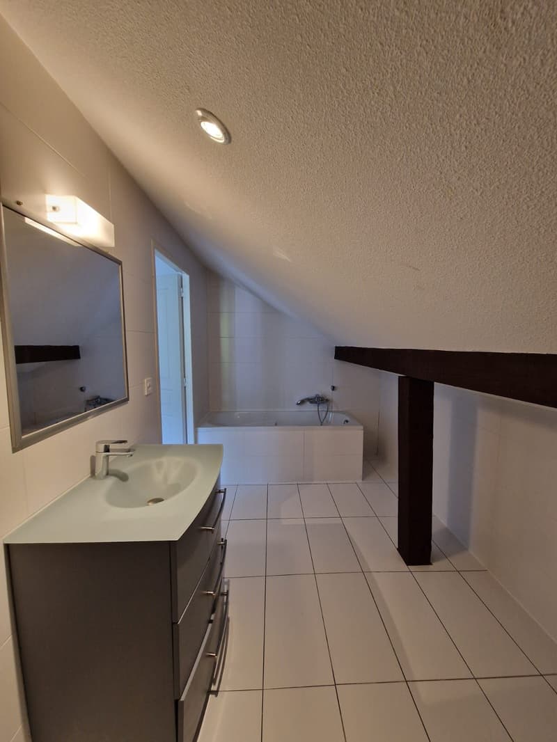 Sublime Appartement de 4.5 pièces à louer (9)