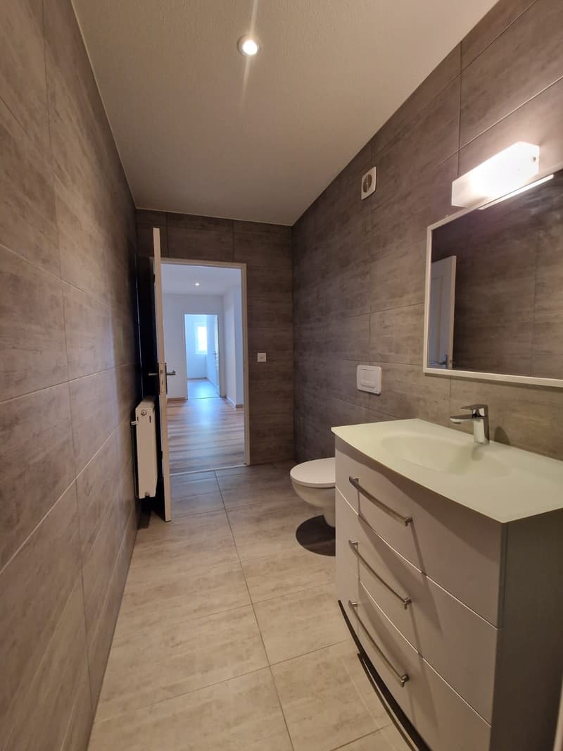 Sublime Appartement de 4.5 pièces à louer (5)